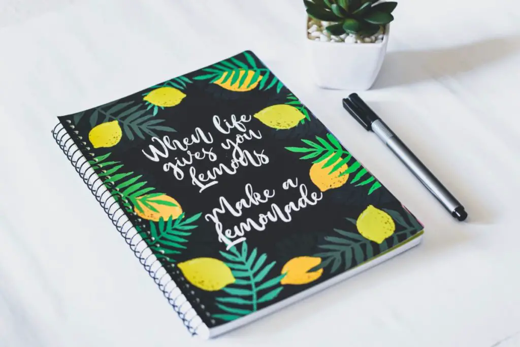 When Life Gives You Lemons Make a Lemonade Planner